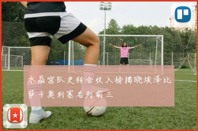 水晶宫队史转会收入榜揭晓埃泽比萨卡奥利塞名列前三