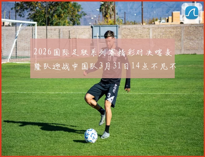 2026国际足联系列赛精彩对决喀麦隆队迎战中国队3月31日14点不见不散