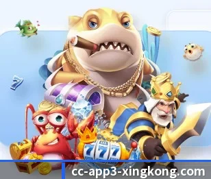 星空体育的故事 - 体育资讯内容服务